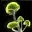 Fireshroom