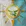Alliance of Light